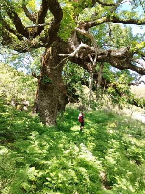 Nydri: Discover Local Culture, History & Beauty Guided Hike - FAQ