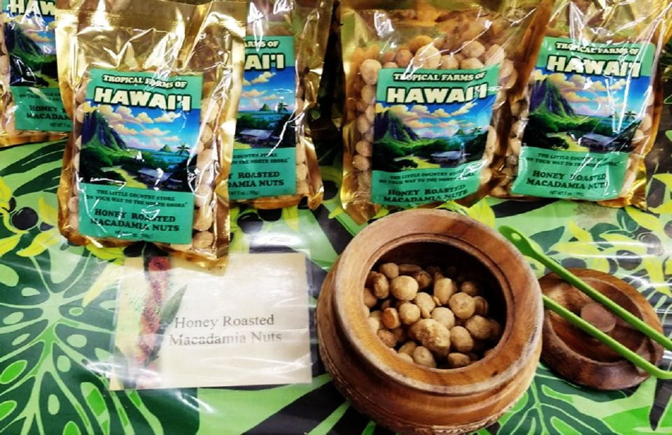 Oahu: 16-Point Guided Circle Tour With Snorkeling and Dole - Cancellation Policy