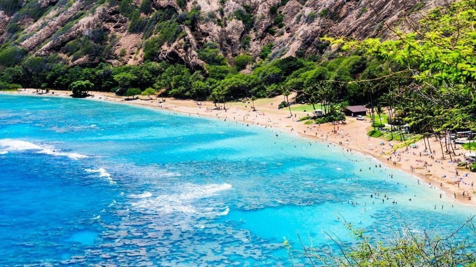 Oahu Circle Island Tour - Best Spots & Beaches - Discover Local Delights