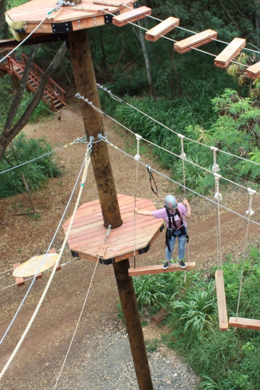 Oahu: Coral Crater Aerial Challenge Course - Aerial Challenge Course Details