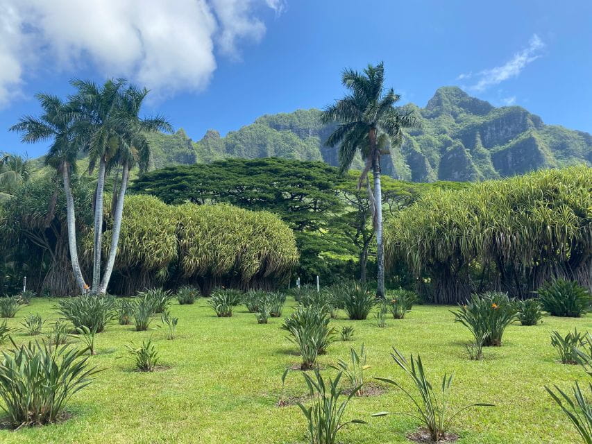 Oahu: Diamond Head Crater Hike and North Shore Experience - Frequently Asked Questions