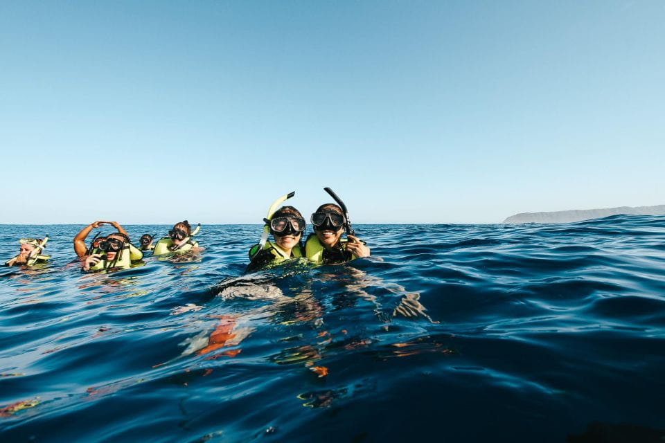 Oahu: Dolphin Swim and Snorkeling Speedboat Tour - Cruise the West Coast