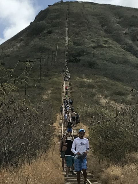 Oahu: Private Island Tour - Macadamia Nut Farm