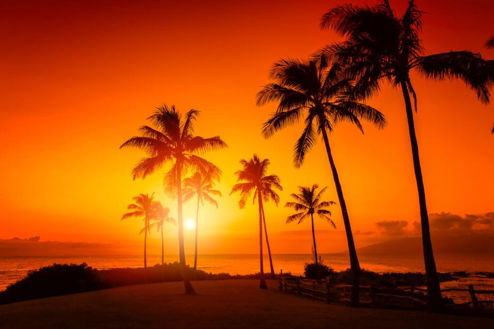 Oahu: Sunset Cruise of West Oahu With Drinks and Appetizers - Experience Highlights