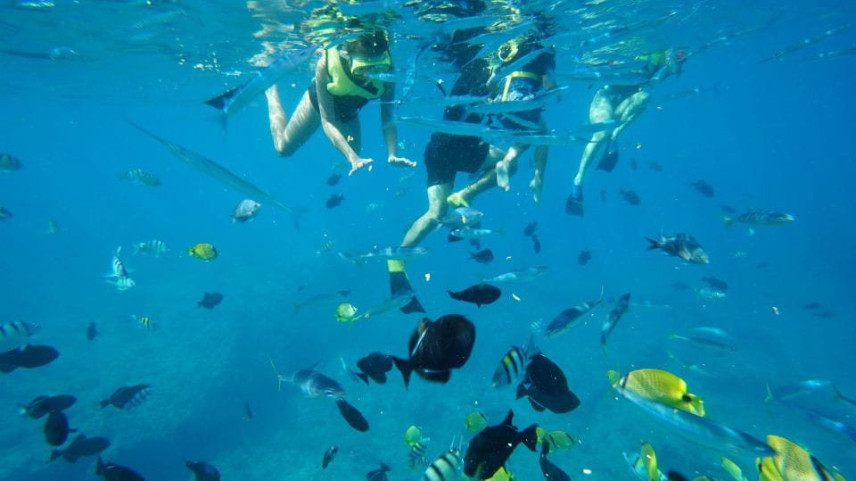 Oahu: Swim With Dolphins, Turtle Snorkel Tour and Waterslide - Restrooms and Shaded Areas