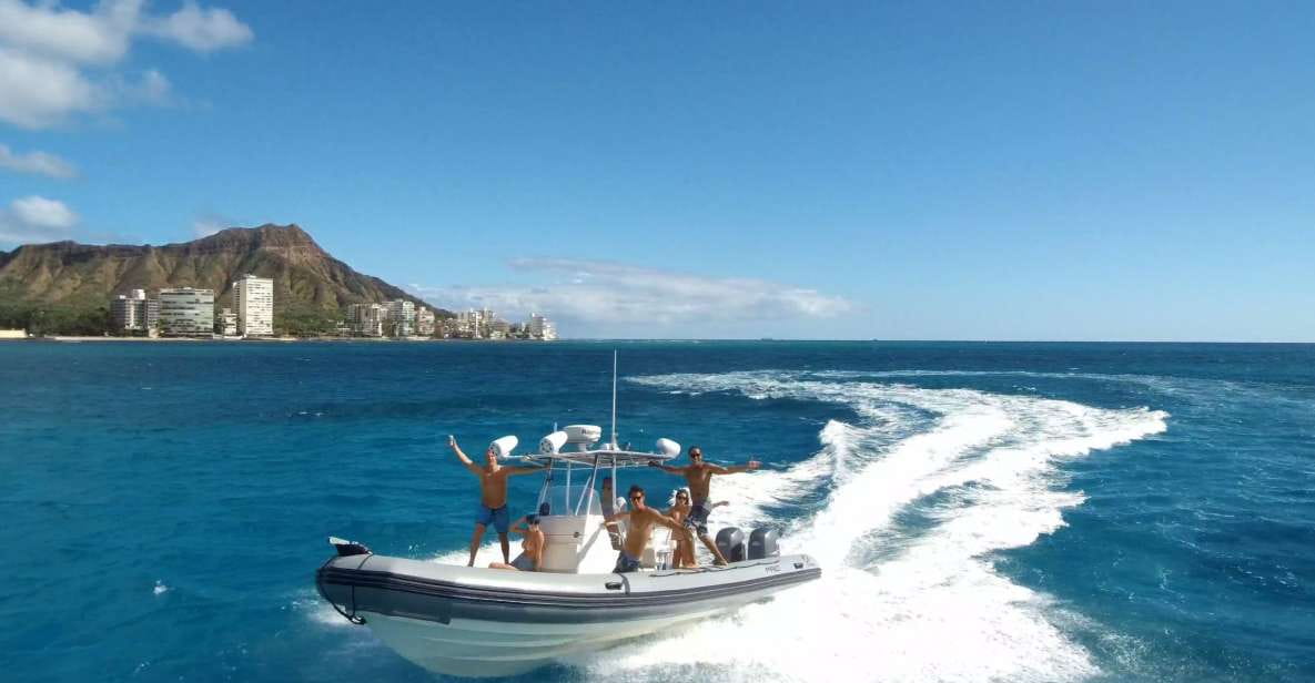 Oahu: Waikiki Private Snorkeling and Wildlife Boat Tour - Sea Life Highlights