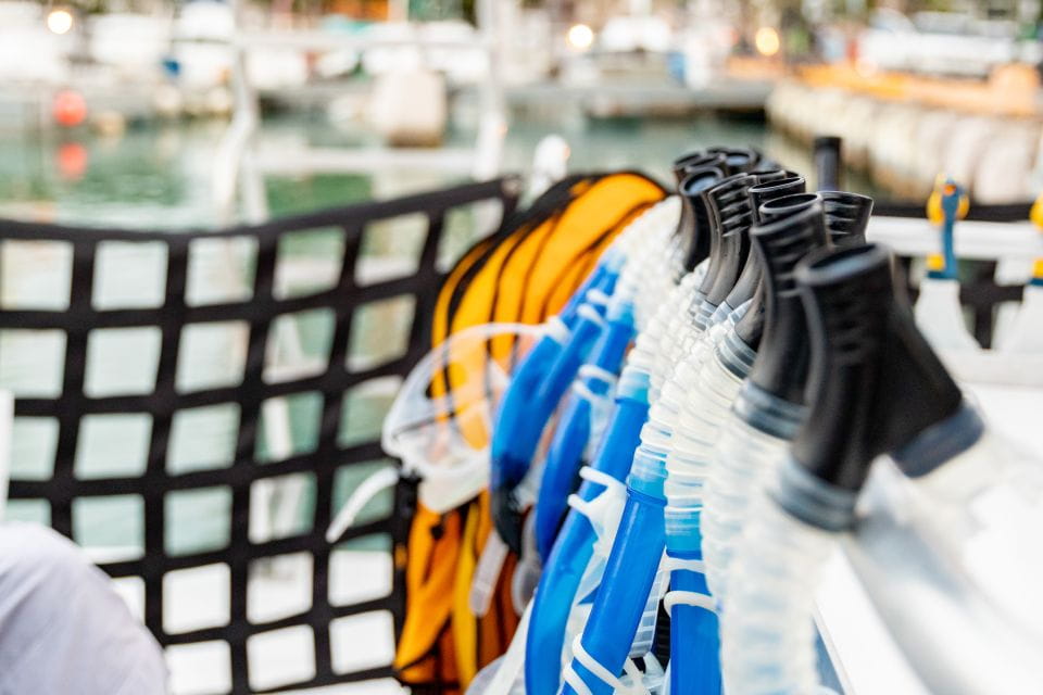 Oahu: Waikiki Turtle Canyons Cruise and Snorkel Excursion - Inclusions and Restrictions