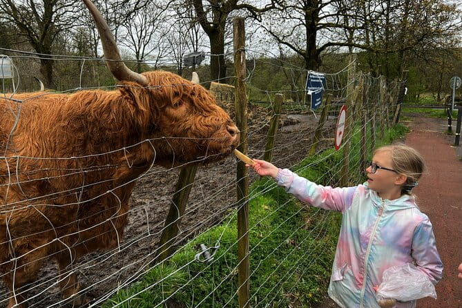 Oban, Whisky, Glencoe, Highlands, Loch Lomond Private Tour - Whisky Time: Oban Distillery