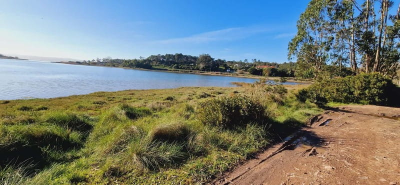 Óbidos to Peniche: Explore the Atlantic Coast E-bike Tour - Key Points / Takeaways