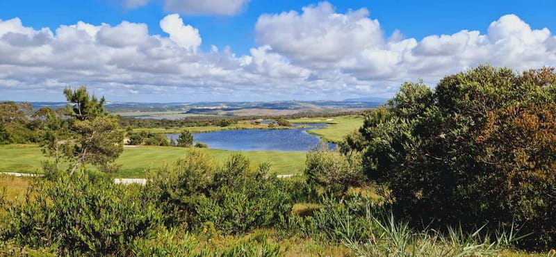 Óbidos to Peniche: Explore the Atlantic Coast E-bike Tour - FAQ