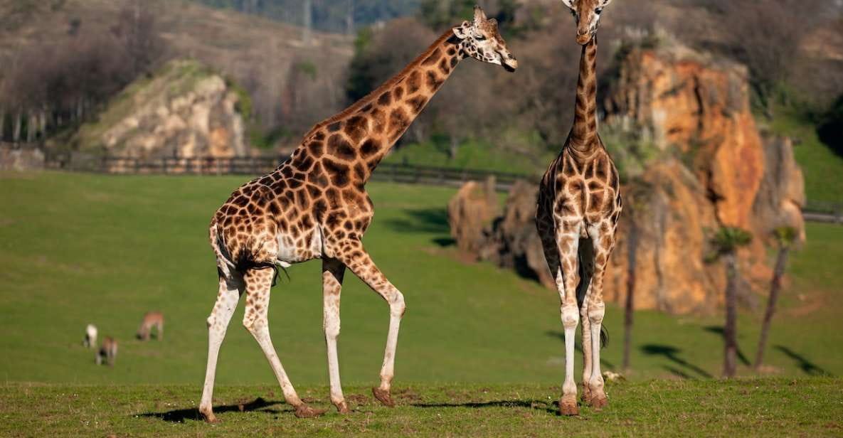 Obregón: Cabárceno Nature Park Entry Ticket - Notable Experiences at the Park