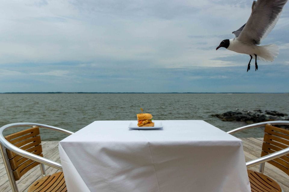 Ocean City: Bay Hopping Food Boat Tour With Tastings - Included in the Tour