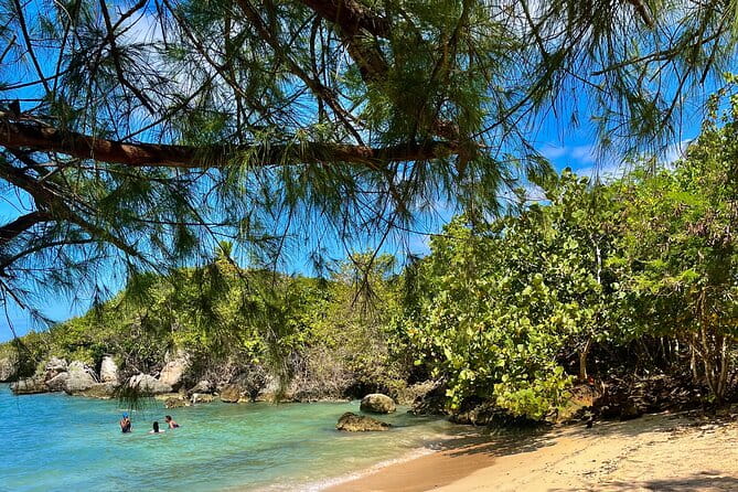 Ochi Rios Beach Day With Jerk Chicken Lunch - Reviews and Ratings