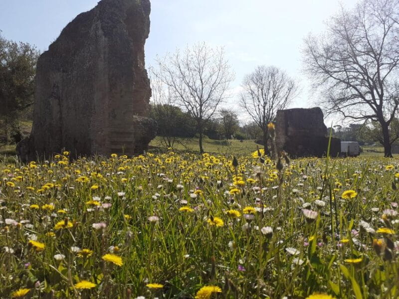 Ocriculum: entrance to the Umbrian archaeological park - The Guides Touch: Making History Come Alive