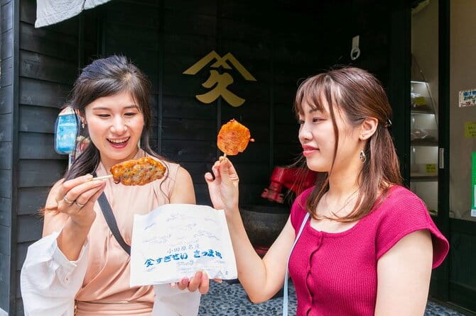 Odawara Castle and Town Guided Discovery Tour - Discovering the Charming Town of Odawara