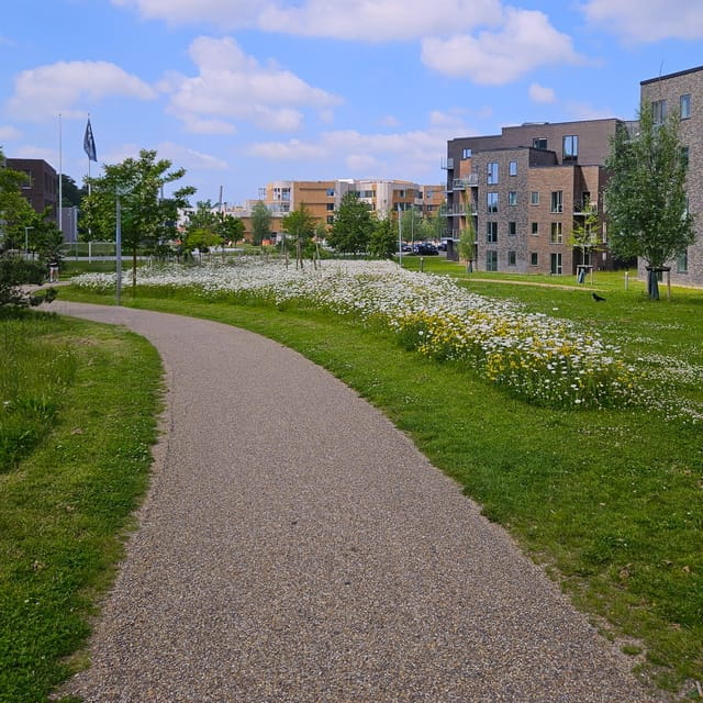 Odense: City walk - The new green Odense - City development - Authentic Local Experiences You’ll Take Away