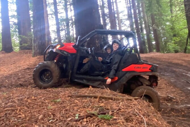 Off-Road Buggy Driving Experience - Price and Logistics: Is it Worth It?