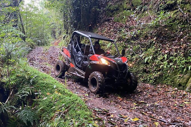 Off-Road Buggy Driving Experience - Who Should Consider This Tour?