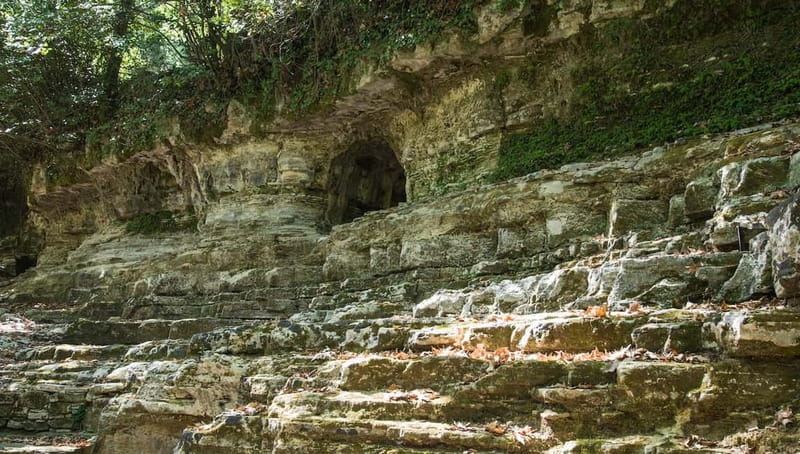 Off-Road: Natural Lake, Mountain Gorges, Palm Forest & Beach - Key Points / Takeaways