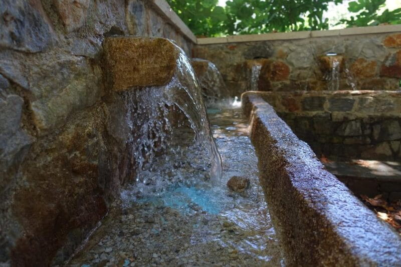 Off-Road: Natural Lake, Mountain Gorges, Palm Forest & Beach - FAQ