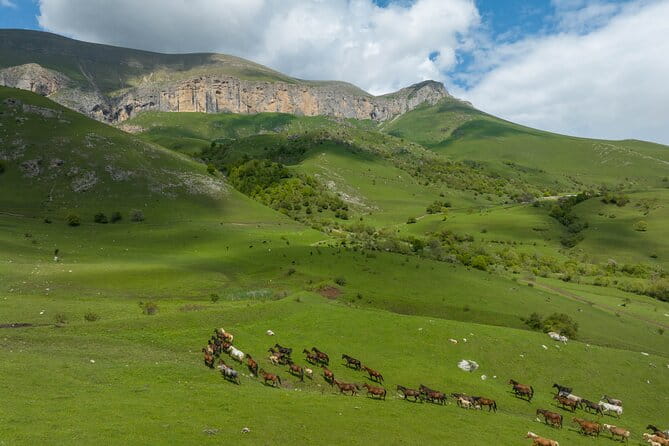 Off Road Tour to Dimats Mount Dilijan Armenia - Key Points / Takeaways