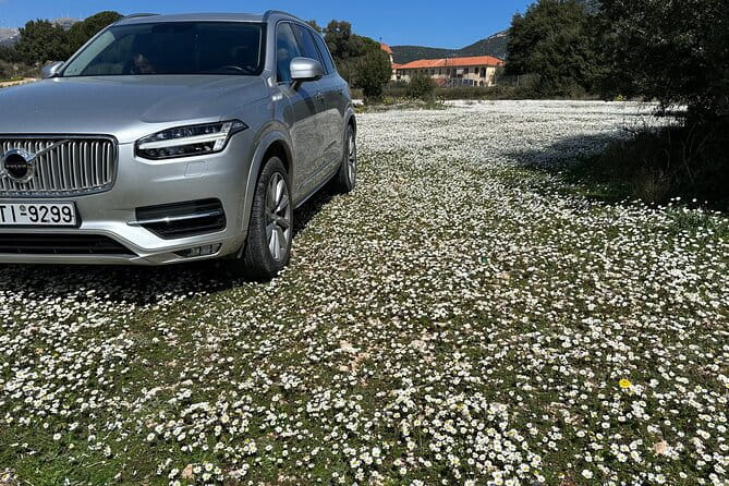 Off-Road Wine Fiesta at Cephalonia - Price and Overall Value