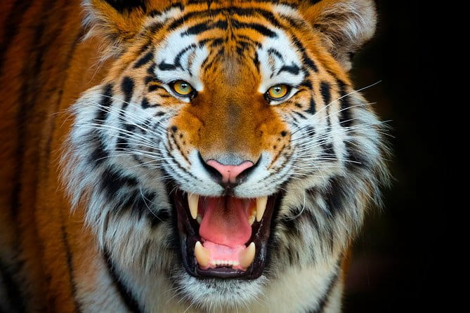 Offer Summer Terra Natura entrance ticket - Key Points