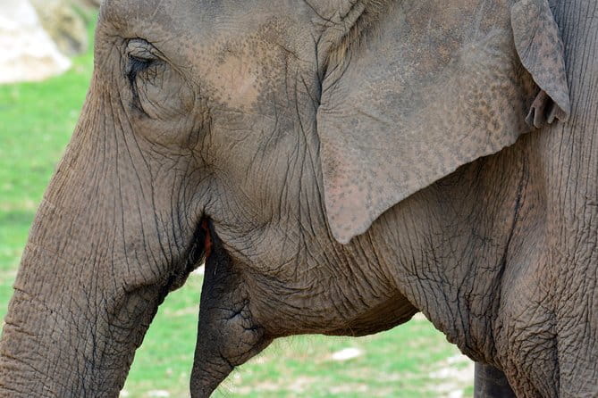 Offer Summer Terra Natura entrance ticket - Who Will Appreciate This Experience?