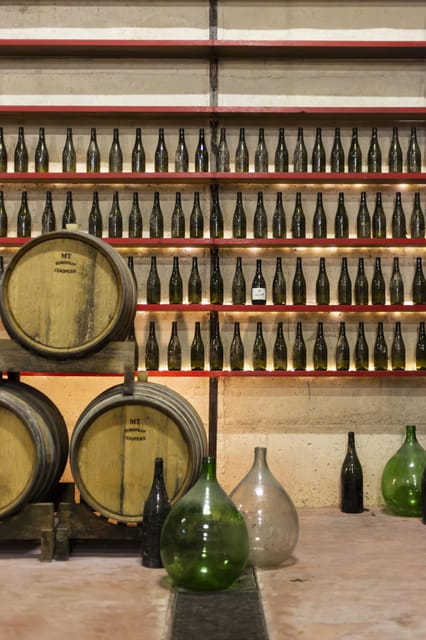 Offida: Tasting itinerary of Rosso Piceno DOC Superiore - The Food Pairing and Setting