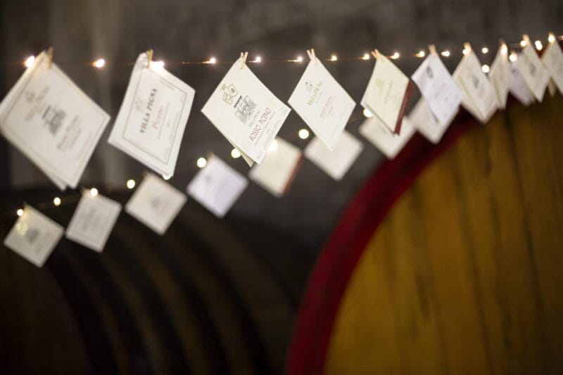 Offida: Tasting itinerary of Rosso Piceno DOC Superiore - The Sum Up: Is This Experience Worth It?