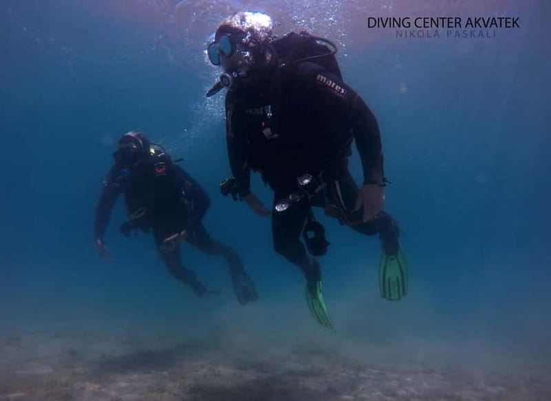 Ohrid: Scuba Diving Experience in Lake Ohrid - An Honest Look at the Underwater World of Lake Ohrid