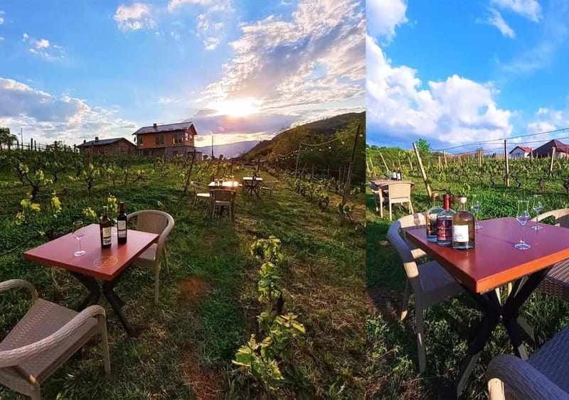 Ohrid - Wine Tasting Experience at S&S Winery - FAQs