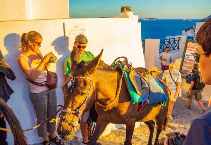 Oia Sunset Daily Tour - Key Points / Takeaways