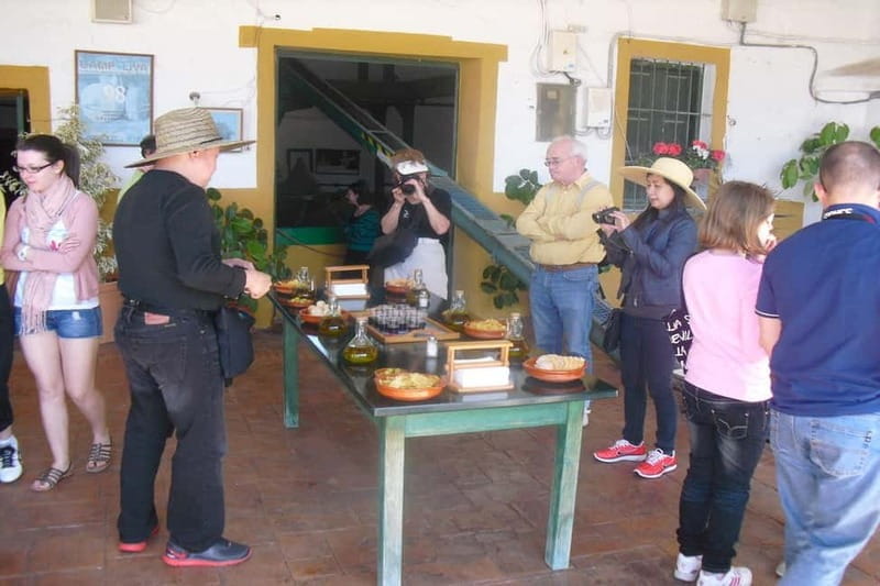 Oil Mill and Agro-Food Market from Costa del Sol - Delving Into the Experience: A Practical Look