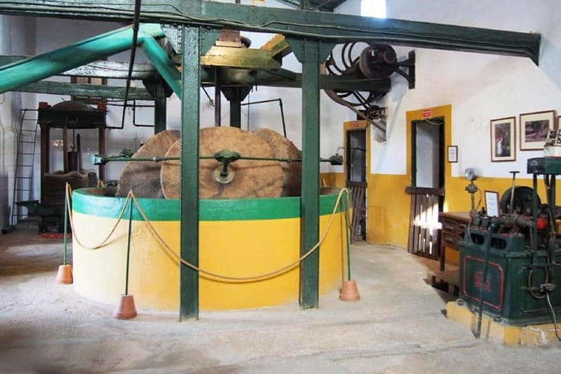 Oil Mill and Agro-Food Market from Costa del Sol - The Sum Up: A Flavorful Day in Andalusia