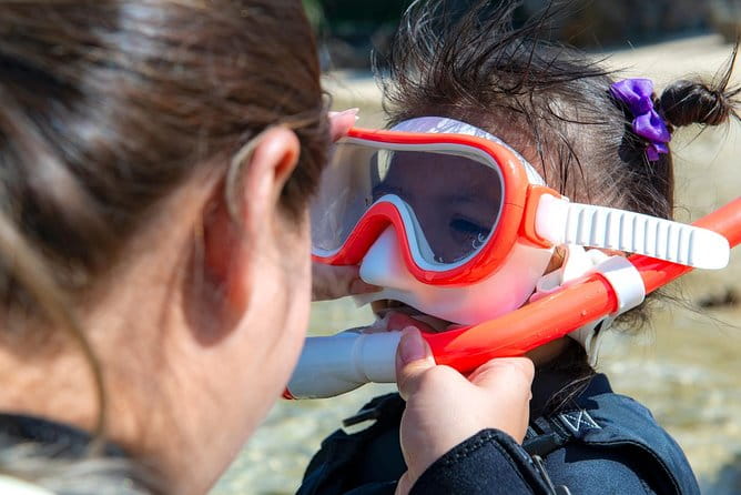 OK From 2 Years Old! / Sea Picnic & Snorkel - Health and Safety Guidelines