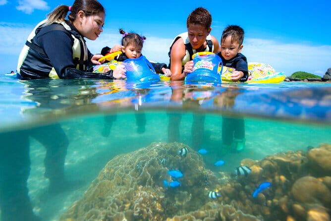 OK From 2 Years Old! / Sea Picnic & Snorkel - Tips for a Great Day Out