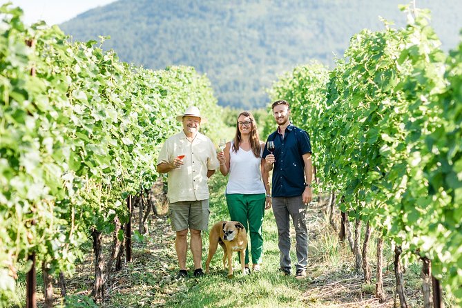 Okanagan Falls Wine Tour - Classic - 4 Wineries - Inclusions