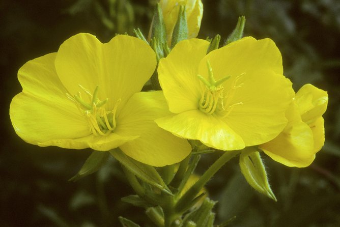 Okanagan Valley Discovery Tour - Cancellation Policy