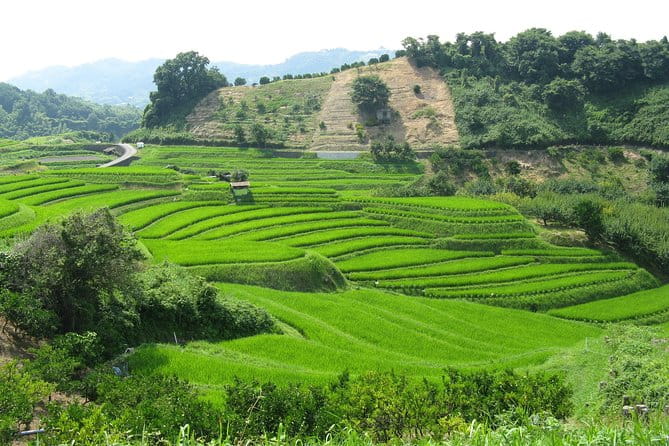 Okayama Half-Day Private Trip With Government-Licensed Guide - Customizing Your Tour