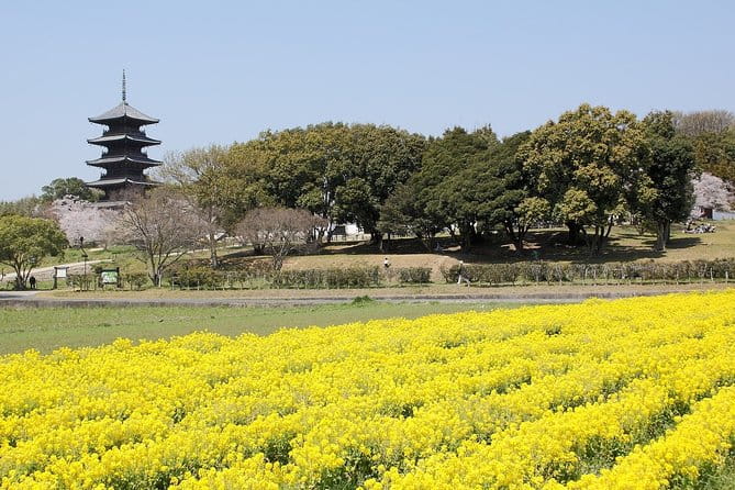Okayama Private Customizable Half Day Tour - Meeting and Pickup Details