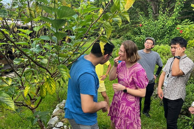 Okinawa Blue Zone 4 Days Discovery Adventure in UNESCO Site - Key Points