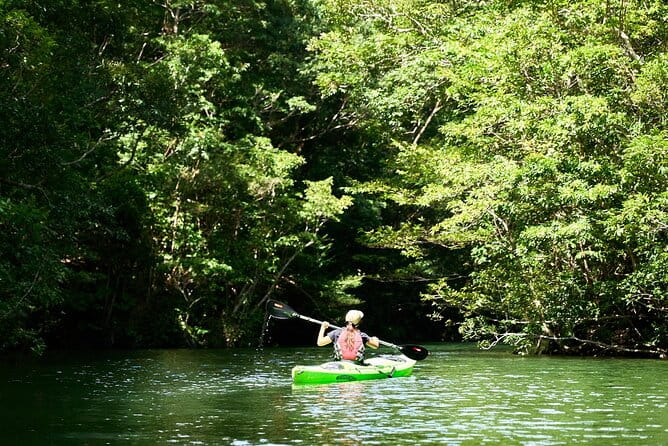 Okinawa Blue Zone 4 Days Discovery Adventure in UNESCO Site - Travel Tips for Your Adventure