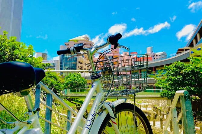 Okinawa E-bike Rental (CityCycle Type) - Key Points