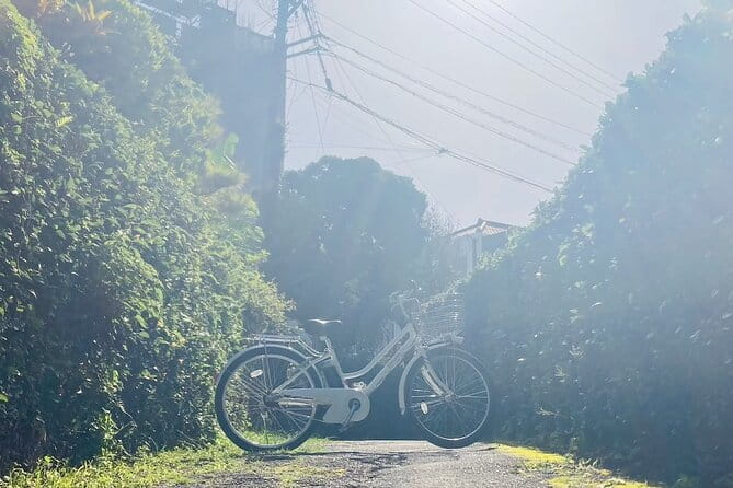 Okinawa E-bike Rental (CityCycle Type) - Rental Inclusions