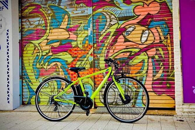 Okinawa E-bike Rental (Sporty Type) - Key Points