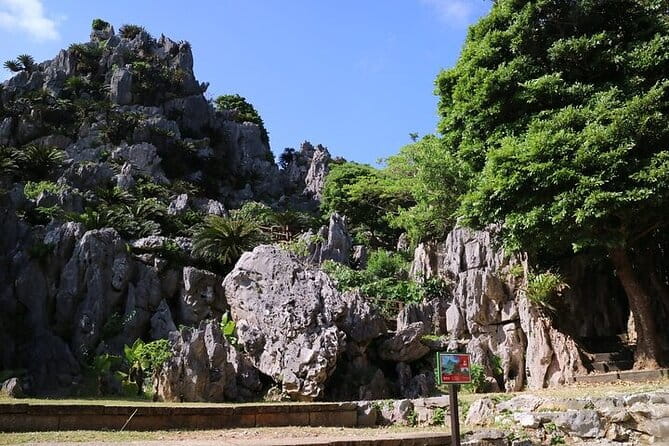 Okinawa Hip-hop Bus C Course Tour to Northern Island - Traveler Feedback