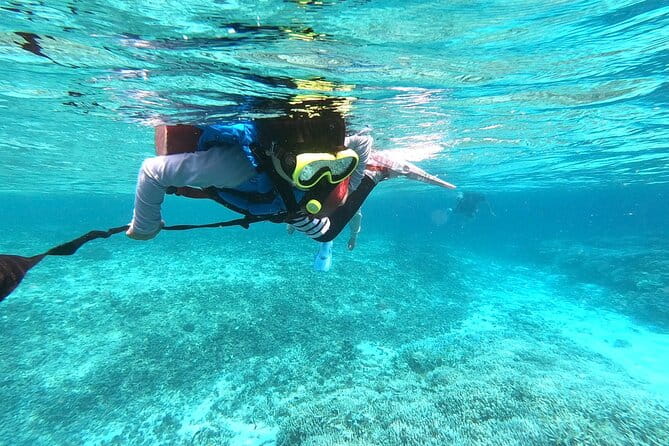[Okinawa Iriomote] Snorkeling Tour at Coral Island - Ratings and Reviews From Travelers