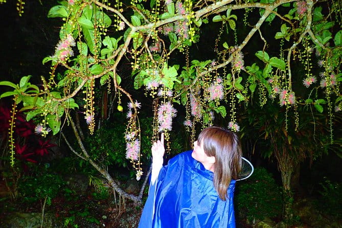 Okinawa Ishigaki Sagaribana Watching Tour June to August Only - Best Time to Experience