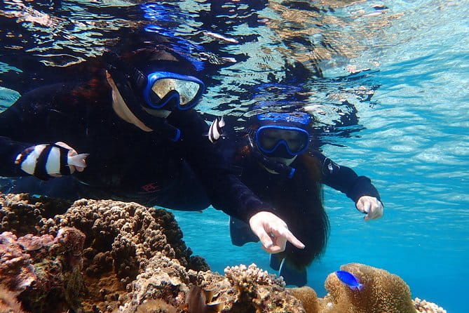 Okinawa Miyako 3set Beach SUP, Snorkeling, Pumpkin Cave,Canoeing - Snorkeling Adventure